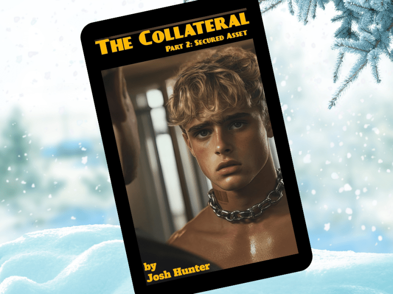 The Collateral — Part 2: Secured&nbsp;Asset